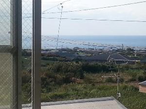 お部屋からの眺め　真っ青な水平線と長閑なさとうきび畑が心と体を癒してくれます
