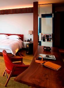 Andaz KING Large