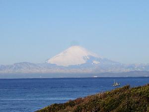 マリーナから富士山を望む（冬）