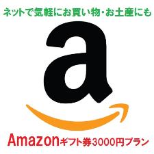 Amazonギフト券プラン