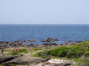 マリーナから見えるお隣の天神島自然公園