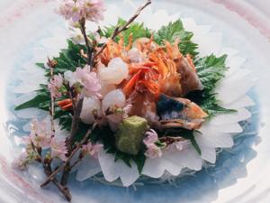 春のおすすめ！　桜えび（白えび）。　春のわずかな期間だけ、活けでお楽しみいただけます。