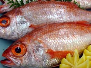 幻の高級魚　のどぐろもおすすめ！