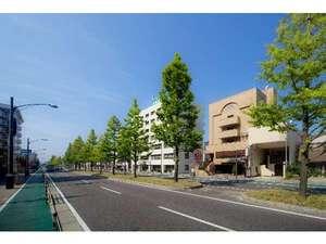 銀杏並木がある閑静な所です