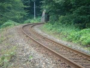 単線の線路をＳＬが走り抜けます