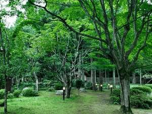 【庭園 夏】新緑の季節に森林浴＆ラドン浴