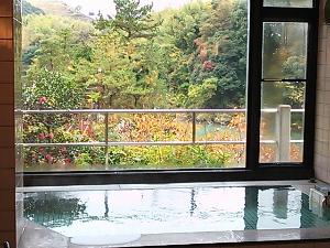 浴室からは物部川がご覧いただけます