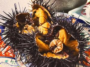 【殻付ウニ】夏の味覚の定番、シーズン中は甘くとろける殻付ウニを是非。