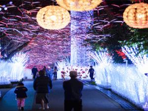 ［御殿場高原　時之栖］