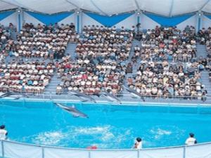 ［三津シーパラダイス］