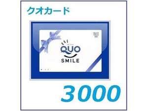 クオカード3000円付きプラン！
