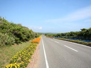 房総フラワーライン≪伊戸〜相浜までの約6kmは「日本の道百選」に認定されています！ ≫