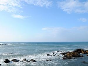 客室から望む太平洋≪全室、野島崎灯台と太平洋を望むオーシャンビューが自慢のお部屋です≫