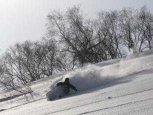 モイワスキー場ゲレンデイメージ２