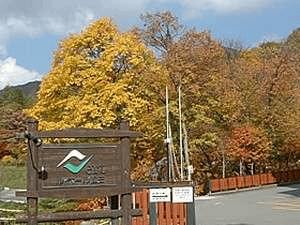 ホテル入り口から見た紅葉