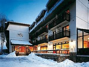 雪の外観