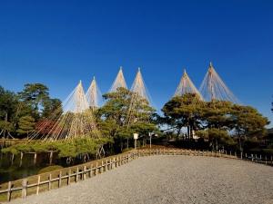 「兼六園の雪吊り」は冬の風物詩です。皆様是非お楽しみくださいませ。（イメージ）