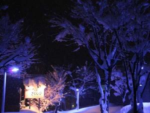 夜のさくら亭　裏庭側