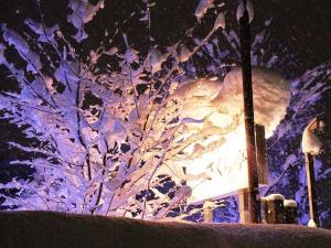 夜のさくら亭　裏庭側