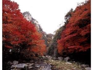 秋の名勝豪渓