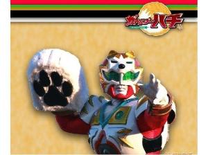 ガヤルダーハチ