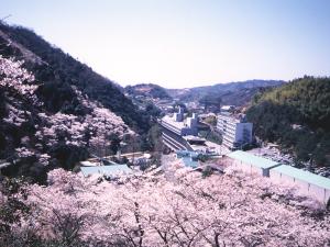 ＜春＞奥道後は桜の名所の一つ。周辺の山々や園内の桜全て合わせて、なんと3,000本の桜が咲き誇ります。