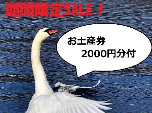 お土産券2000円付