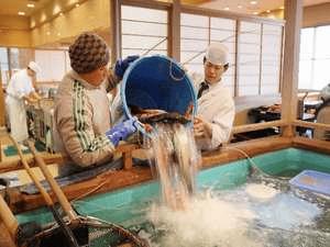 伊戸港よりの朝採れ地魚をイケスへ！今日の収穫は？