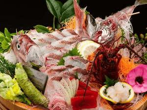 鮮魚のお造りここでしか食べれない究極の鮮度を追求します