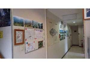 屋久島へようこそ♪観光、登山の事などもお気軽にご相談ください。