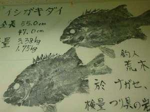 登山だけでなく魚釣りも盛んです。近場でも結構大物が釣れます☆