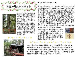 日光の縁結びスポット