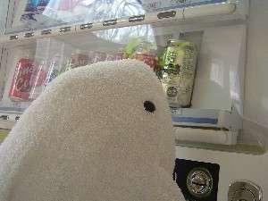 【自動販売機】アルコール類やソフトドリンクを扱っております。（タバコはありません）