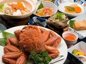 えりも岬漁港に荷揚げされる毛かにです。美味しい食べ方のアドバイスを致します