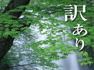 訳あり