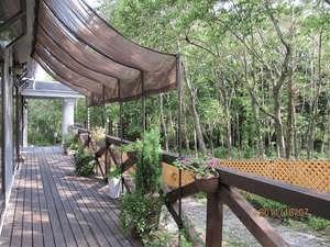 木漏れ日が心地よいテラスで日光浴を・・