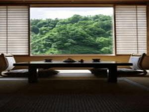 お部屋から新緑