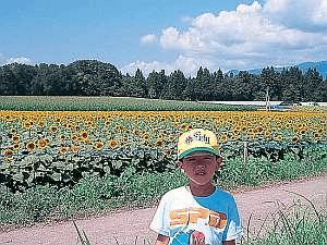 津南のひまわり広場へは車で20分
