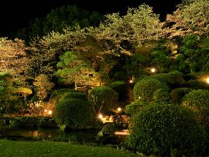 ライトアップされた庭園
