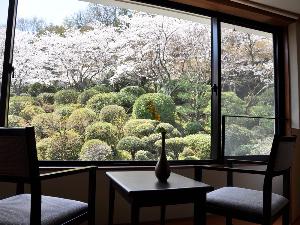 桜の季節の庭園