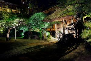 庭園は毎日ライトアップしております。