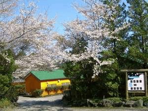 桜のお宿外観