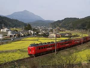 霧島連山と菜の花を見ながら