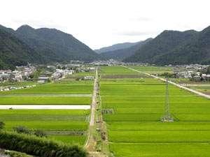 客室から望むのどかな田園風景