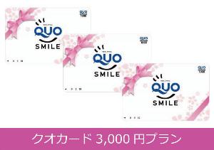 3000円クオカード付プラン