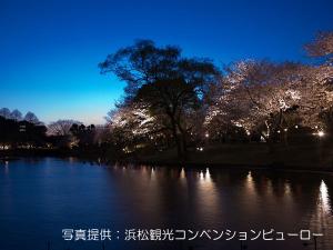 ＜はままつフラワーパーク＞四季折々の草花やライトアップを楽しめます☆