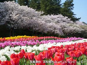 ＜はままつフラワーパーク＞四季折々の草花やライトアップを楽しめます☆