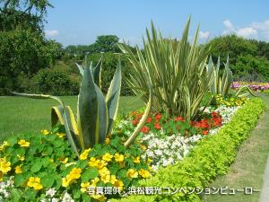 ＜はままつフラワーパーク＞四季折々の草花やライトアップを楽しめます☆