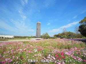＜浜名湖ガーデンパーク＞1300本の桜と50万球のチューリップ、720品種・100万本の花菖蒲が見どころ。