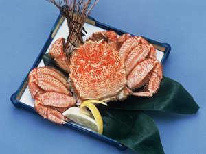 雄武産の海明けの毛蟹は甘みがあって、身が締まっています♪
